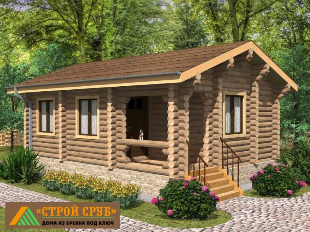 Дом из бревна 4847