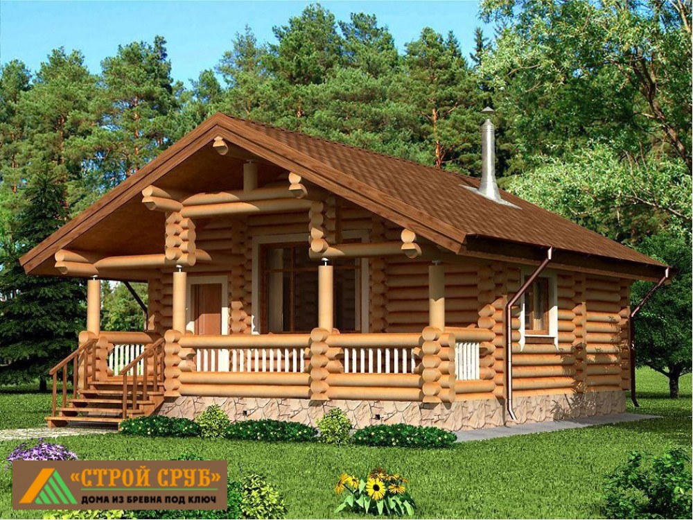 Дом из бревна 4922