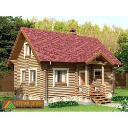 Дом из бревна 4850