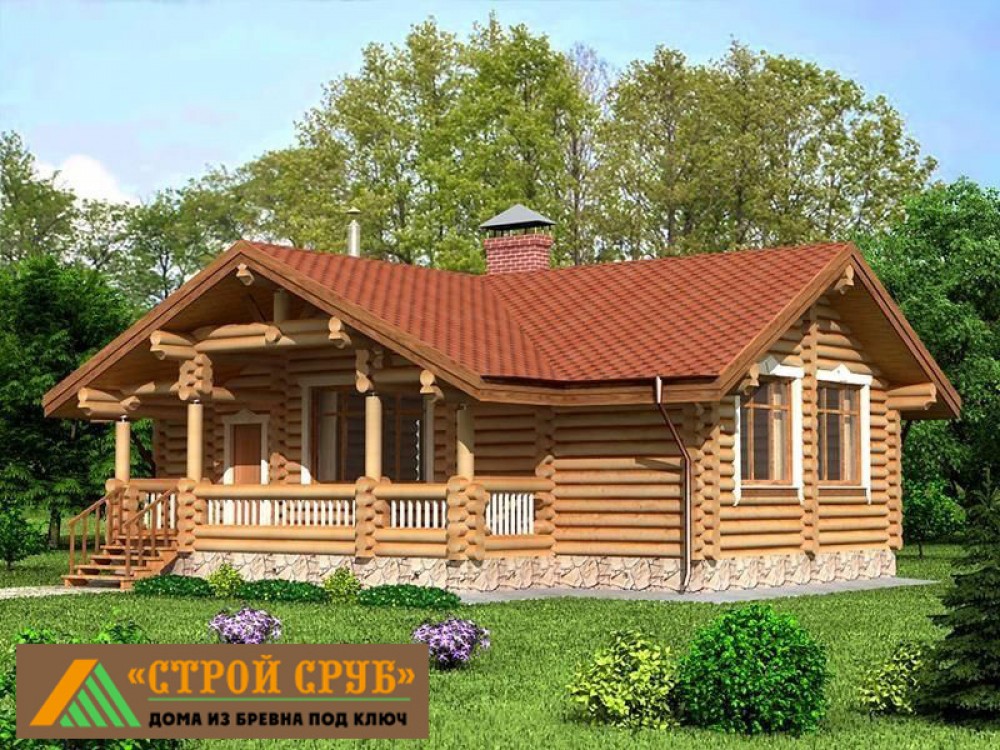 Дом из бревна 4999